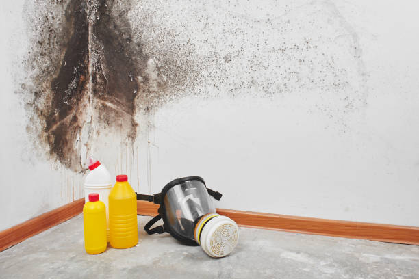 Best Emergency Mold Removal  in Lawnside, NJ