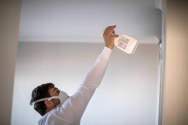 Best Toxic Mold Removal  in Lawnside, NJ