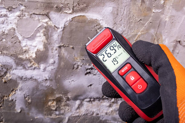 Best Professional Mold Removal  in Lawnside, NJ