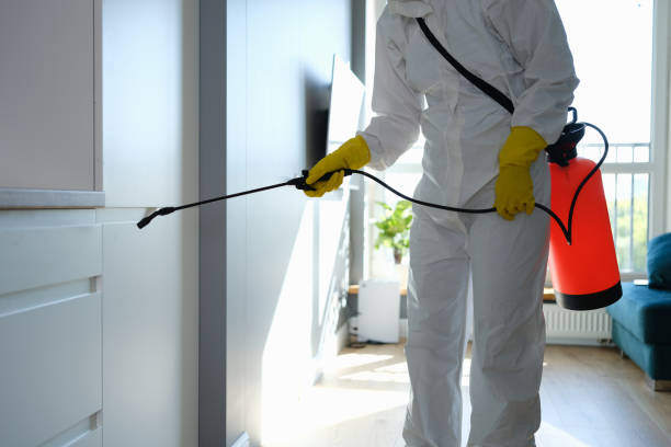 Best Office Mold Removal Services  in Lawnside, NJ