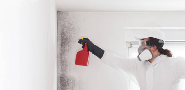 Best Home Mold Removal  in Lawnside, NJ