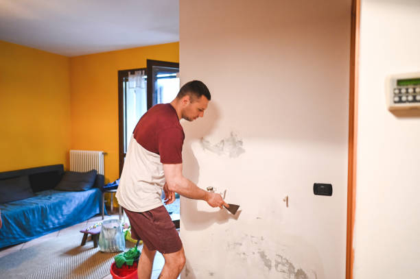 Mold Removal and Inspection in Lawnside, NJ