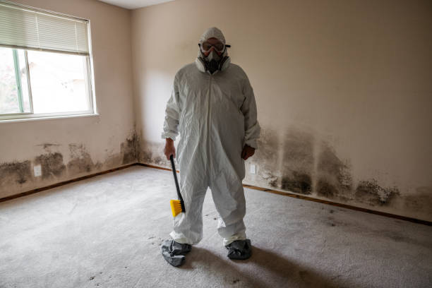 Best Black Mold Removal  in Lawnside, NJ